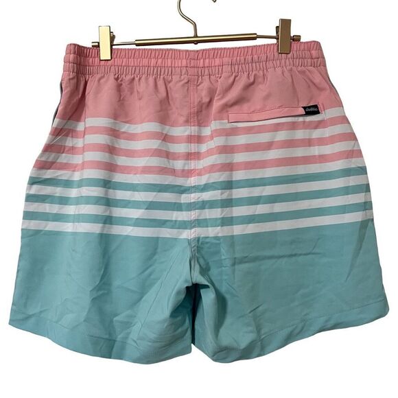 Chubbies The On The Horizons 5.5" Swimmers Shorts Size L Stripe Lined Vacation - Picture 2 of 10